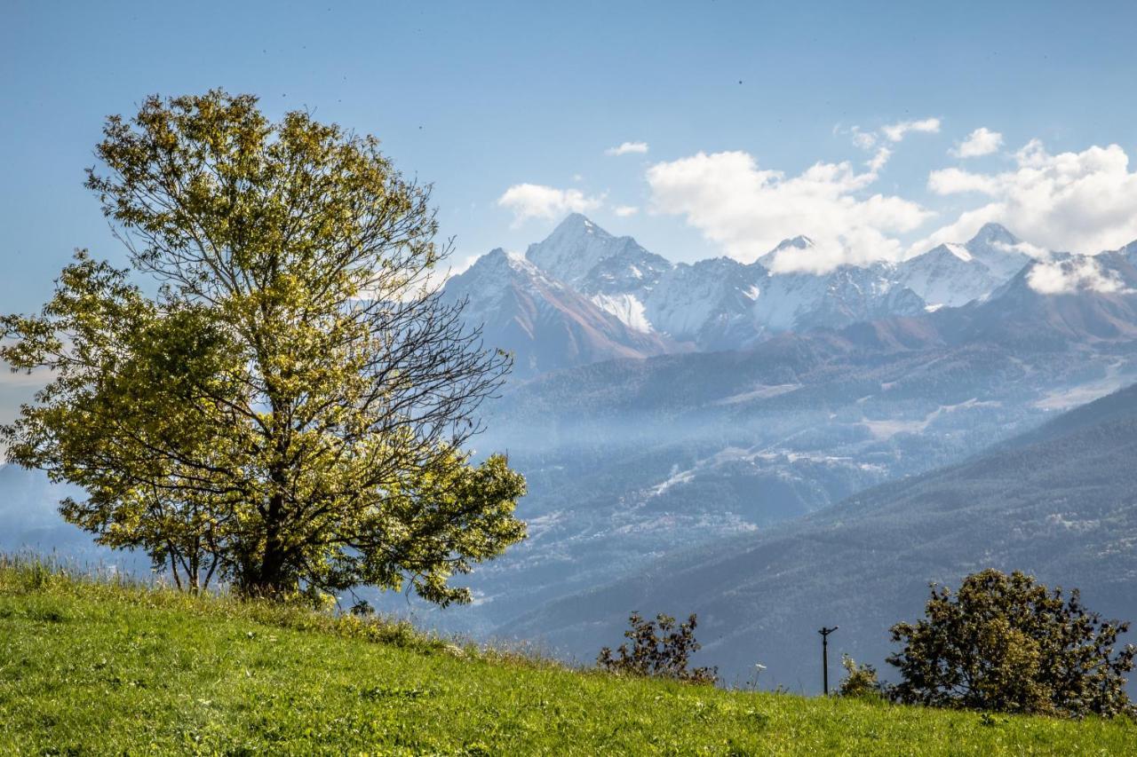 Hotel, Bar & Bistrot Saint Nicolas Gran Paradiso Екстер'єр фото